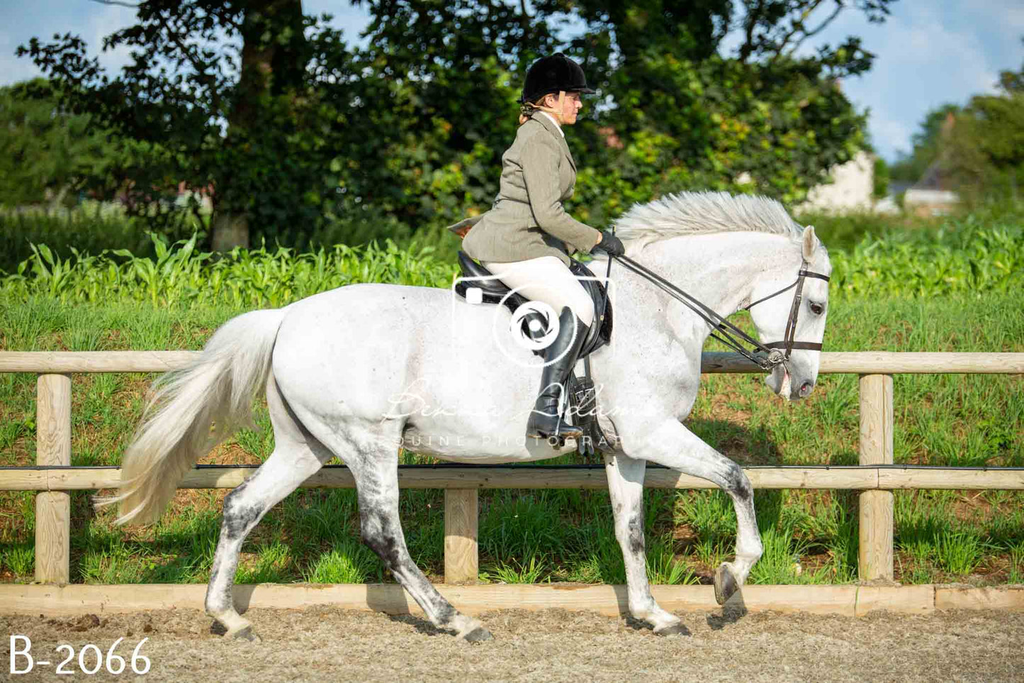 Home Farm Showing 20th June