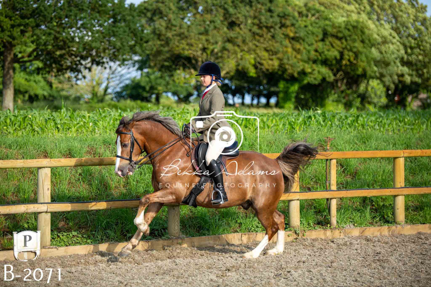 Home Farm Showing 20th June
