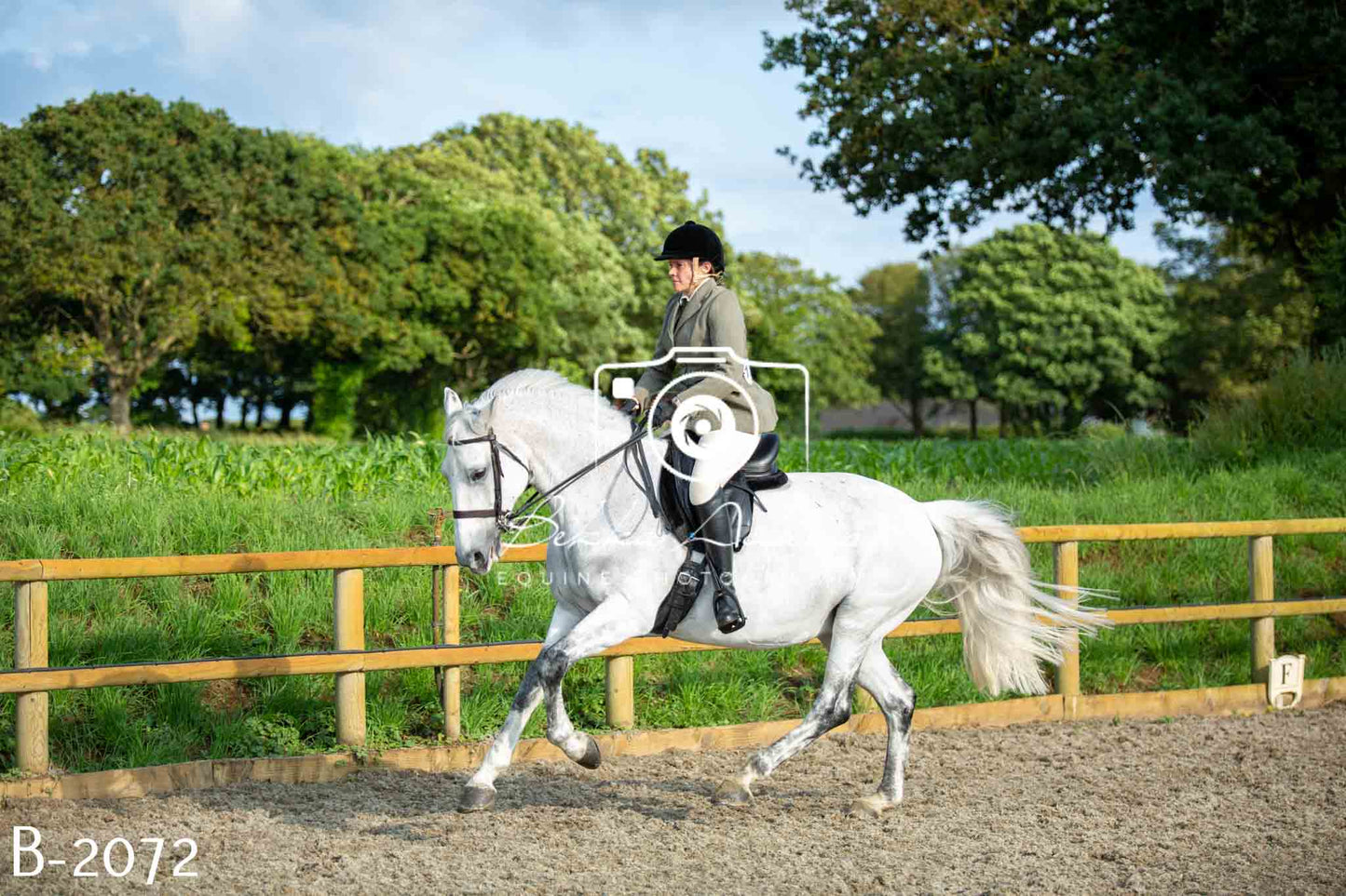 Home Farm Showing 20th June