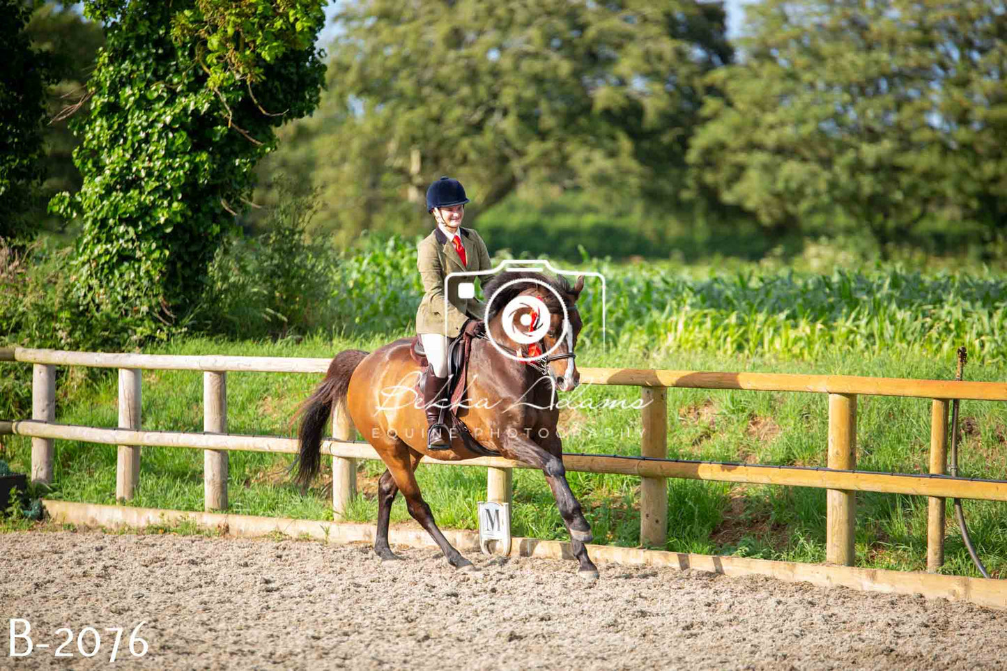 Home Farm Showing 20th June