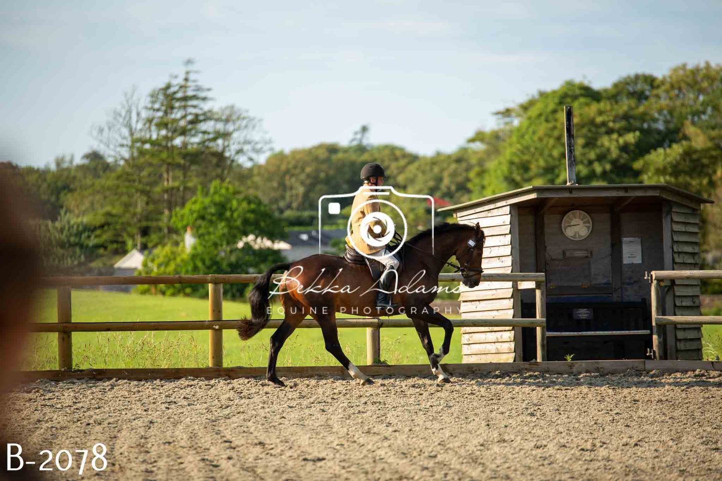 Home Farm Showing 20th June