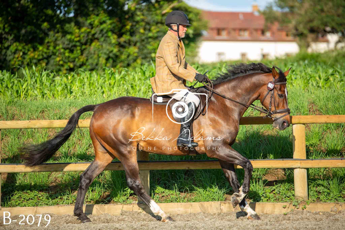 Home Farm Showing 20th June