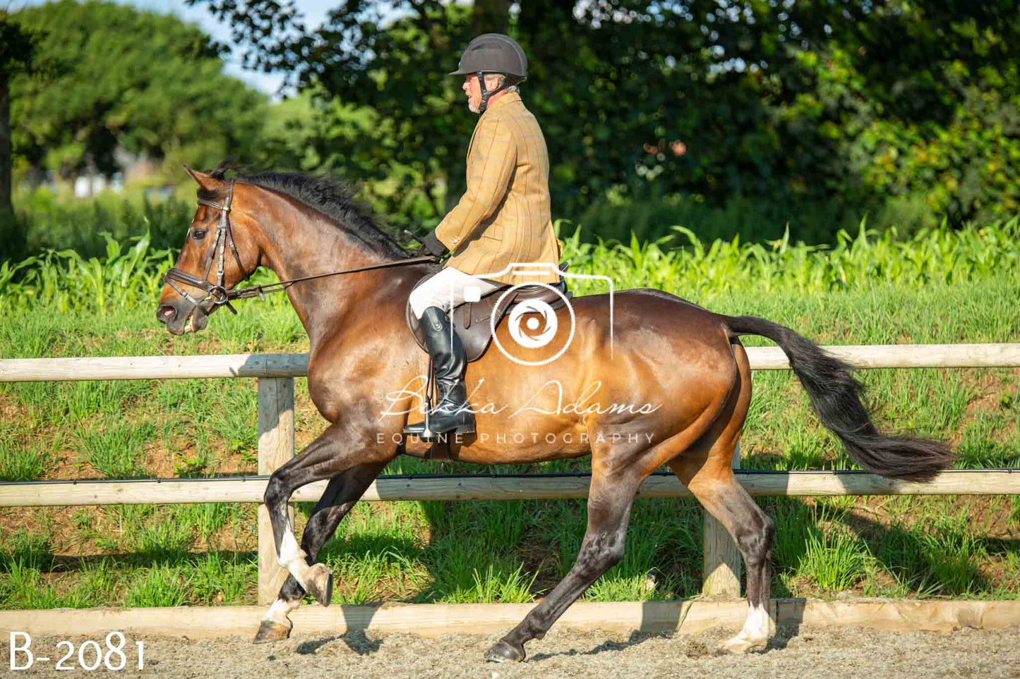 Home Farm Showing 20th June