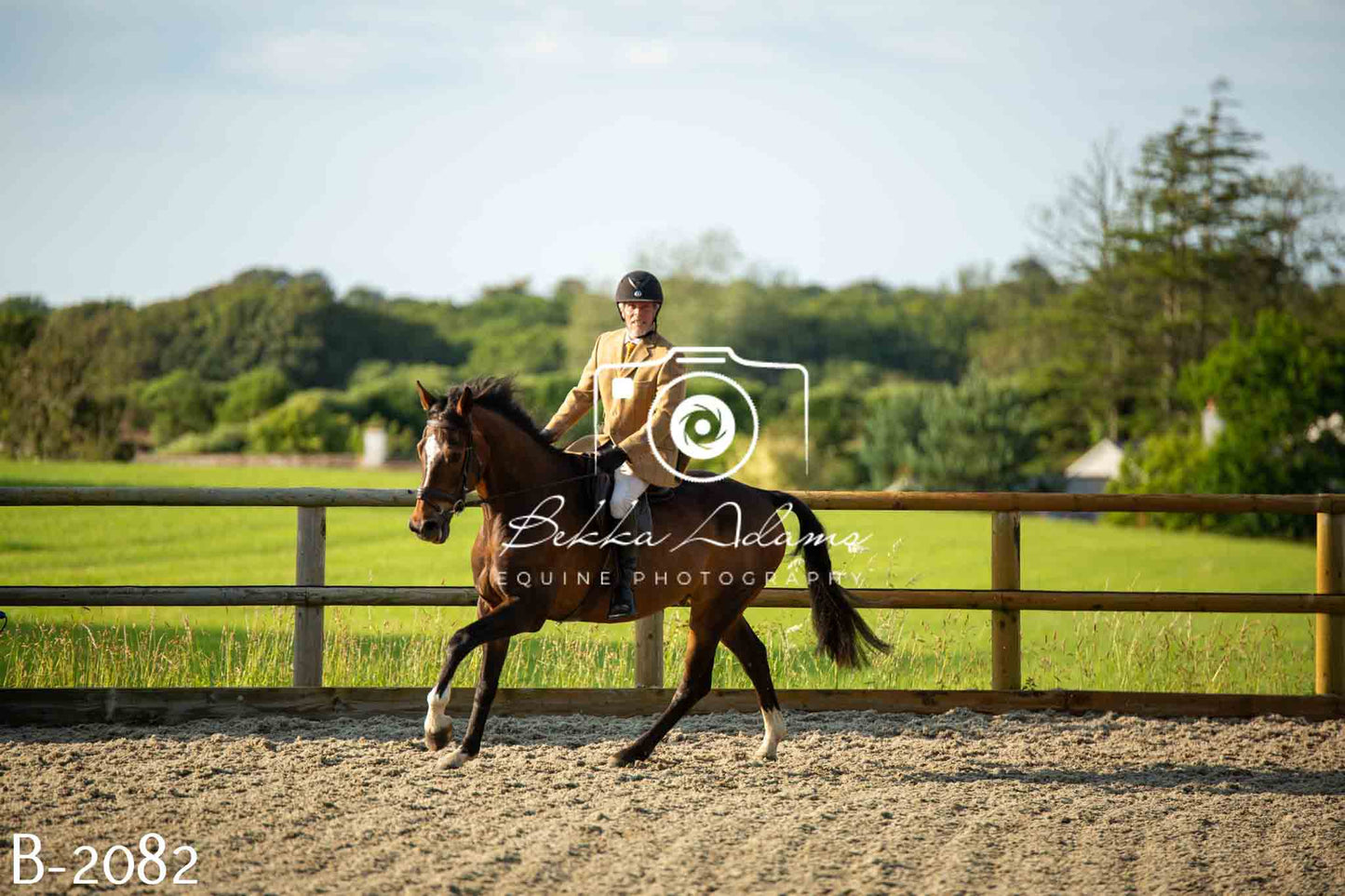 Home Farm Showing 20th June