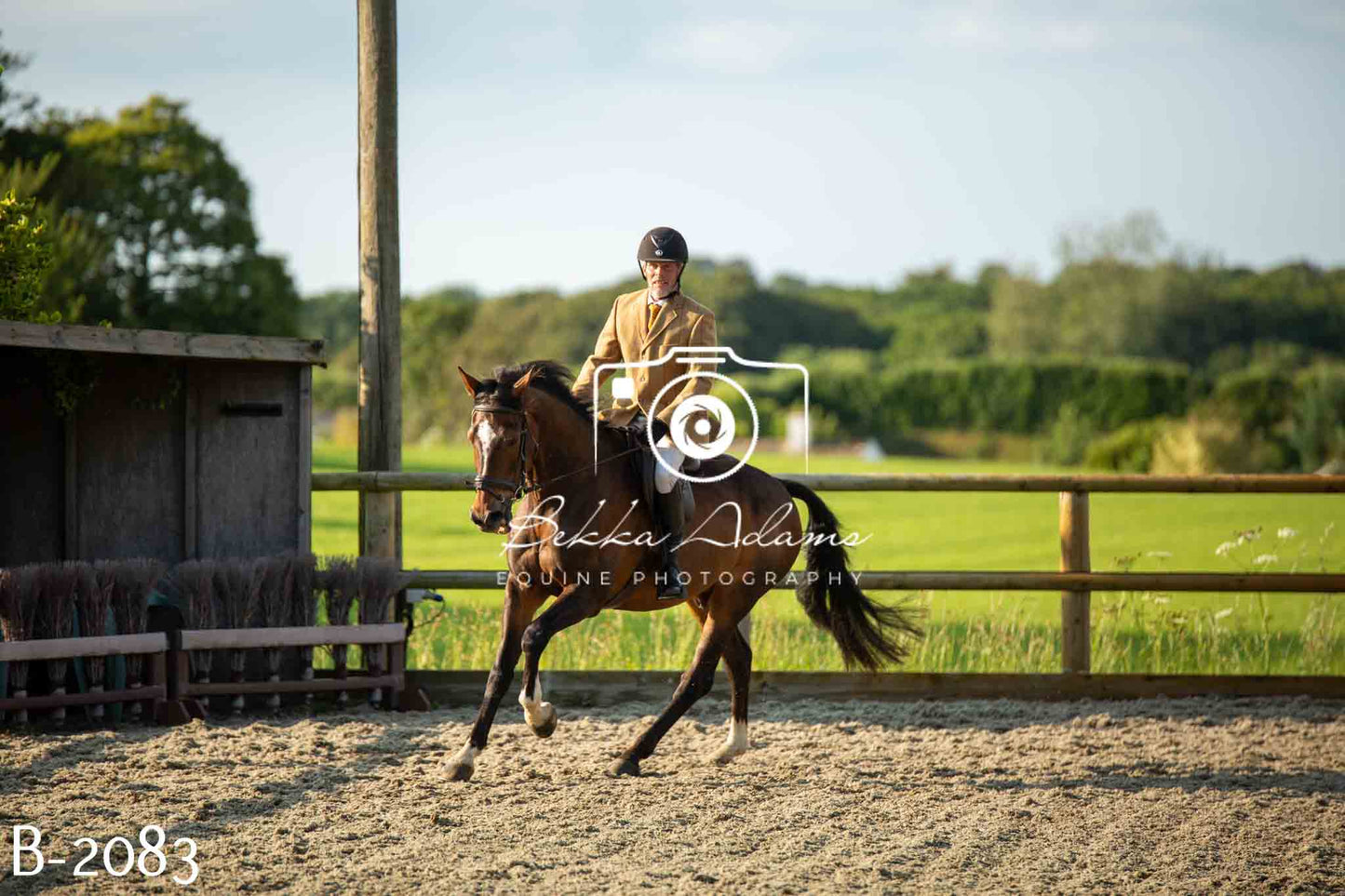 Home Farm Showing 20th June