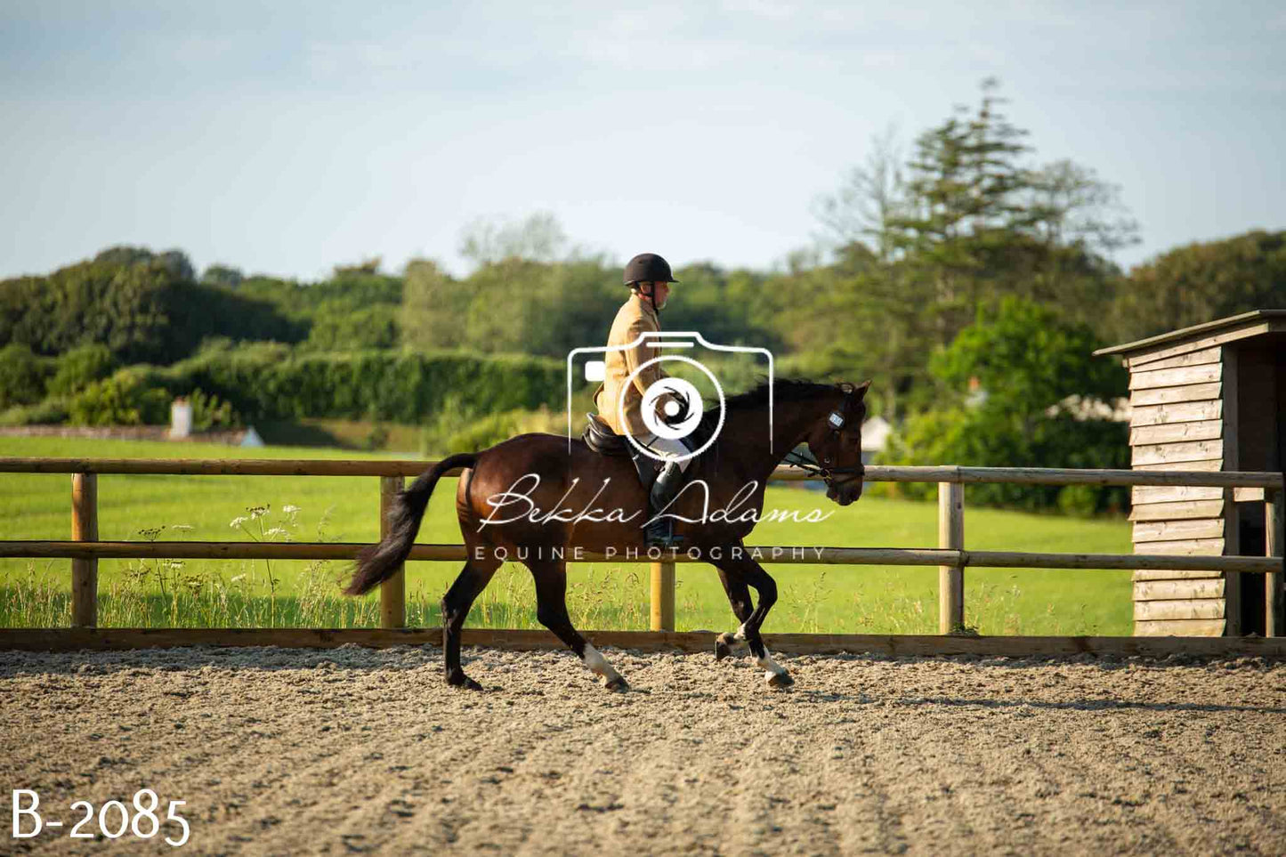 Home Farm Showing 20th June