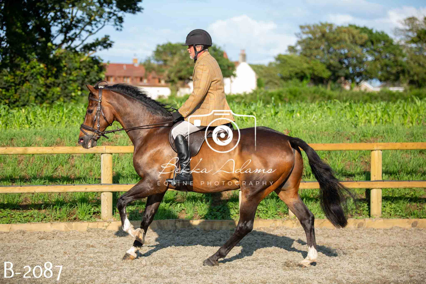 Home Farm Showing 20th June