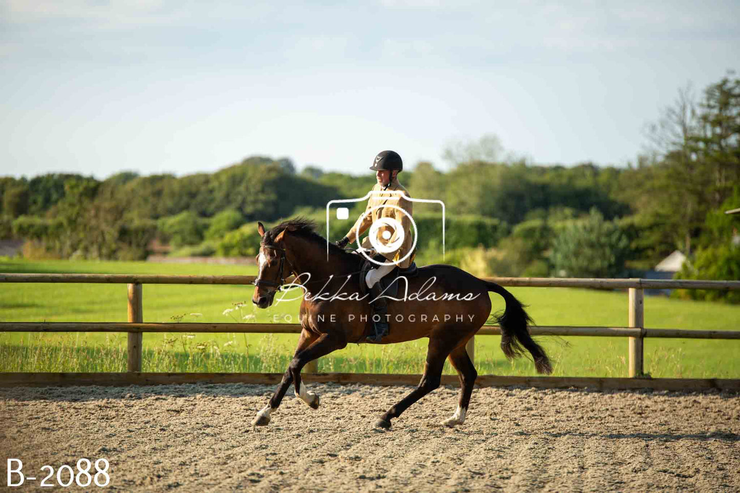 Home Farm Showing 20th June