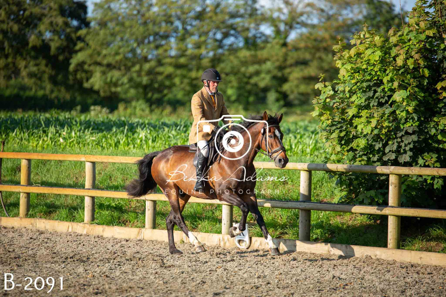Home Farm Showing 20th June
