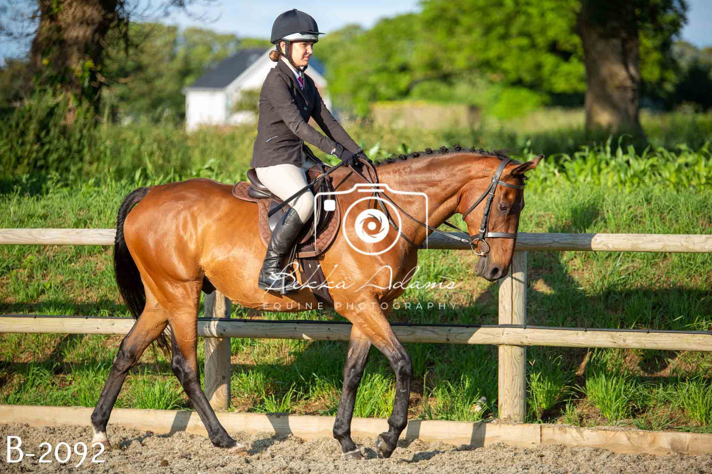 Home Farm Showing 20th June