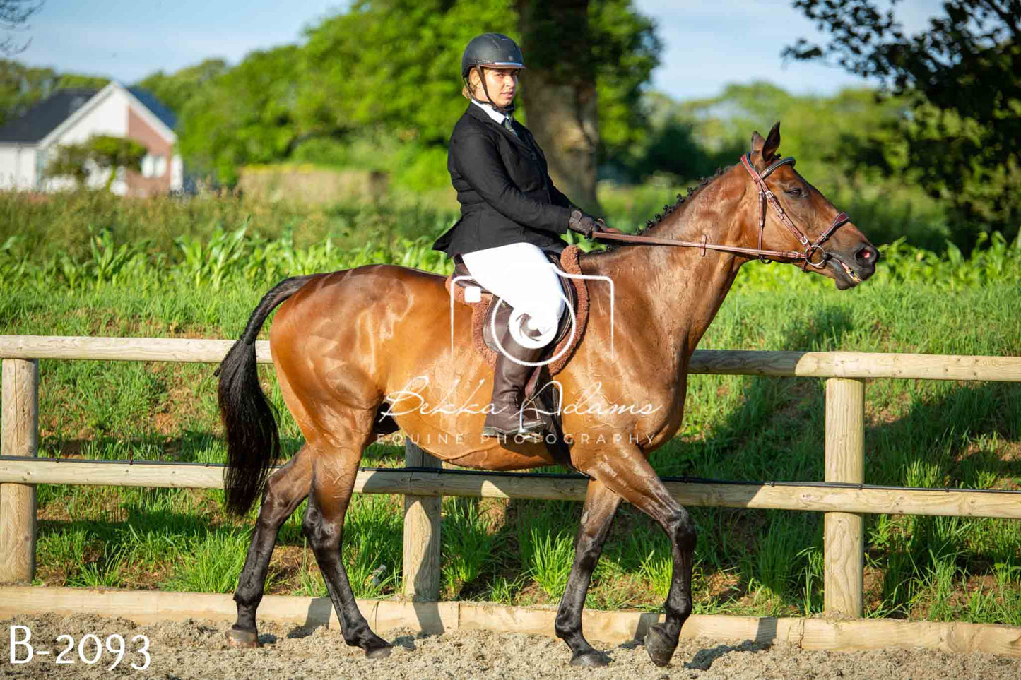 Home Farm Showing 20th June