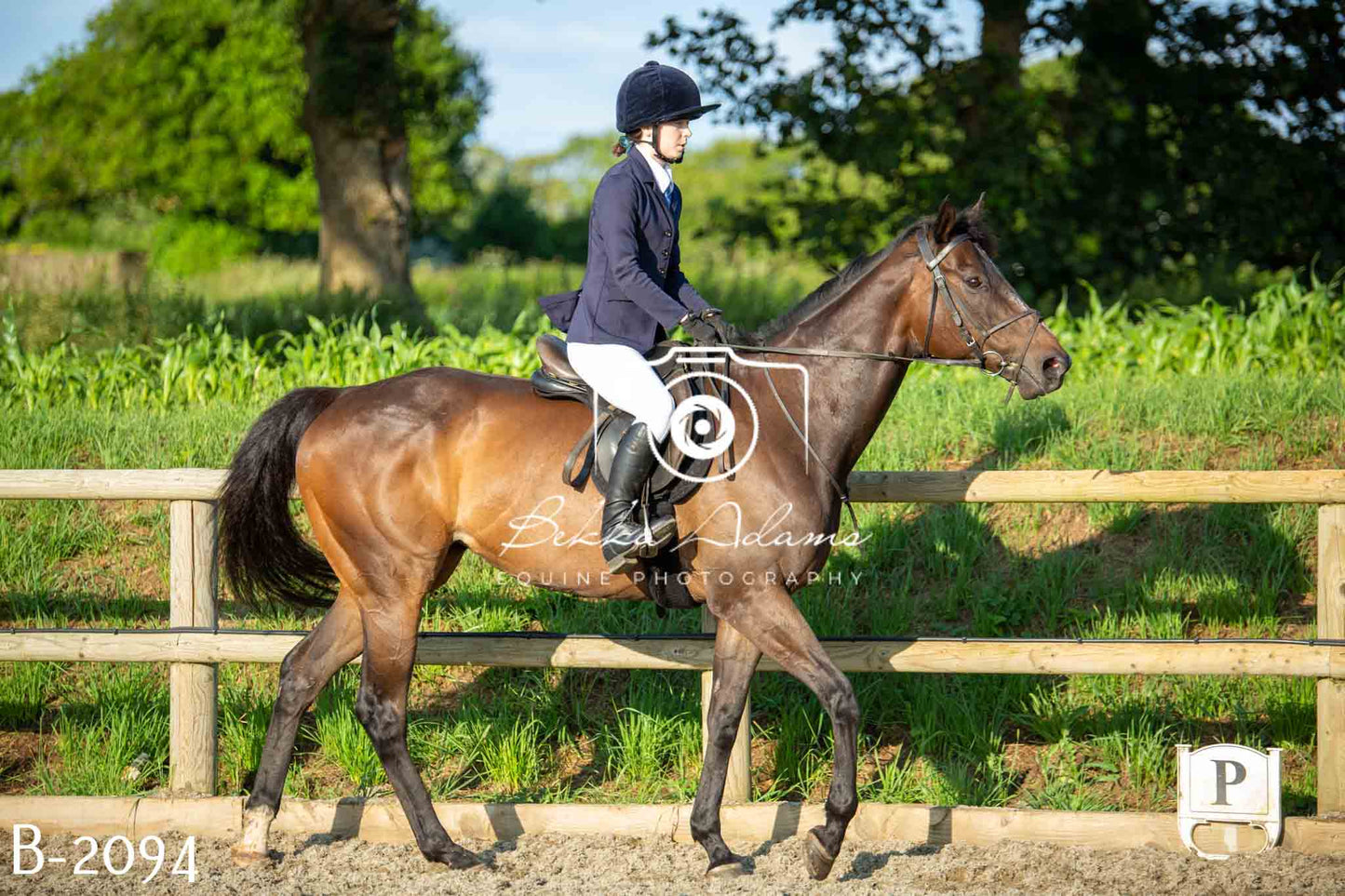 Home Farm Showing 20th June