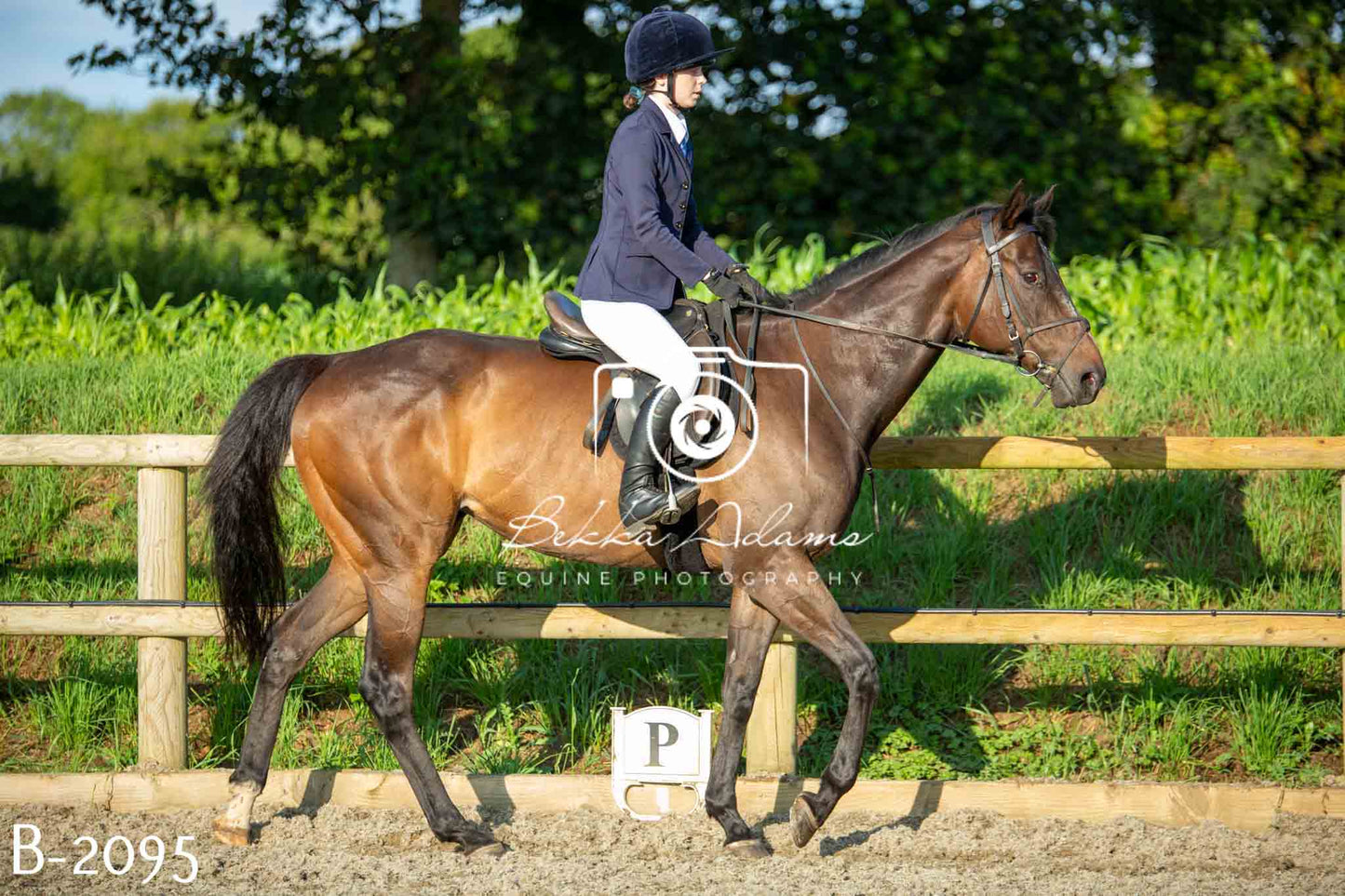 Home Farm Showing 20th June
