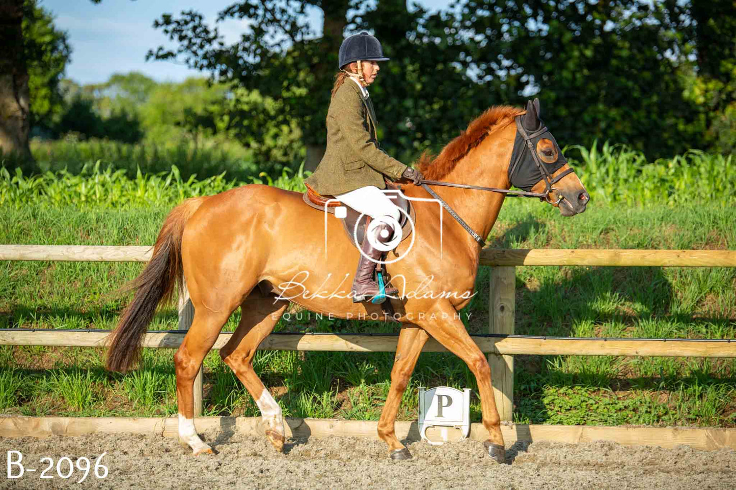 Home Farm Showing 20th June