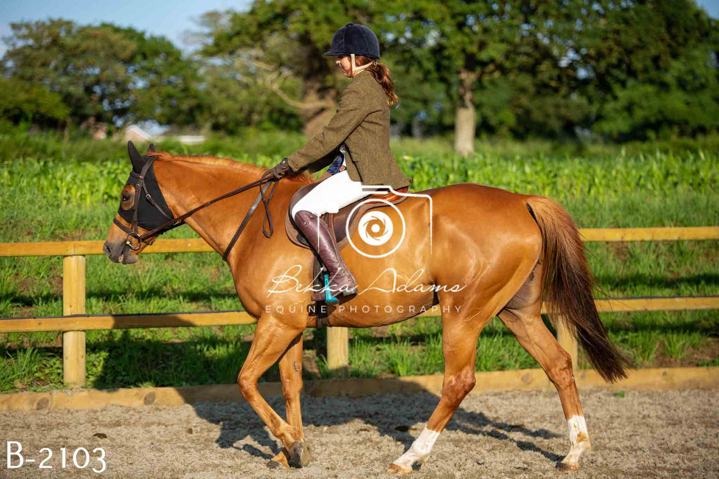 Home Farm Showing 20th June