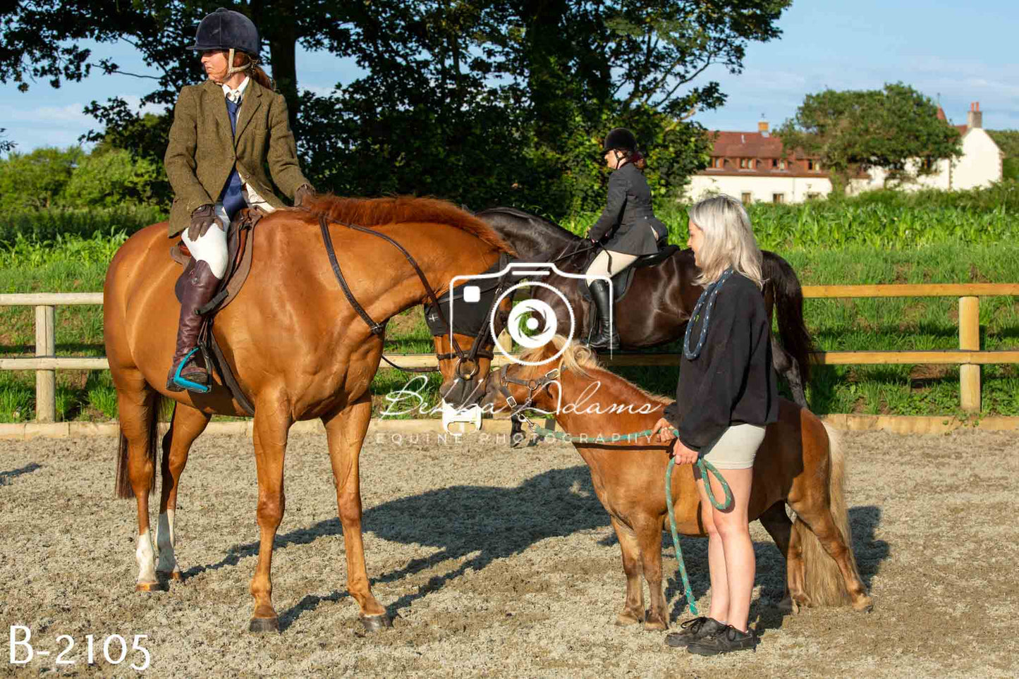 Home Farm Showing 20th June