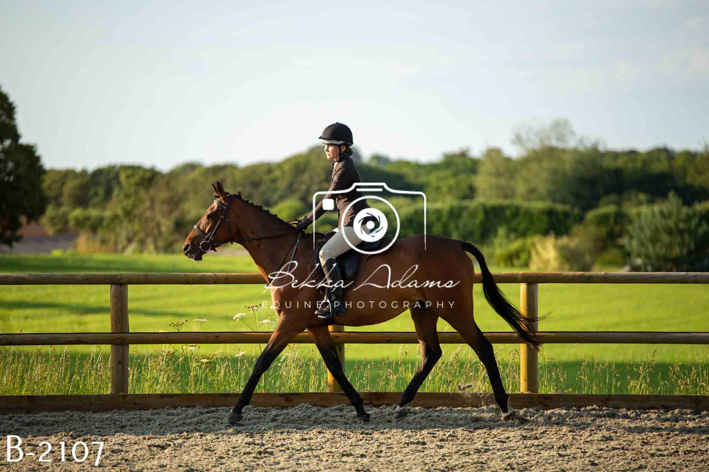 Home Farm Showing 20th June