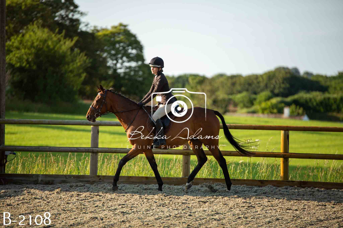 Home Farm Showing 20th June