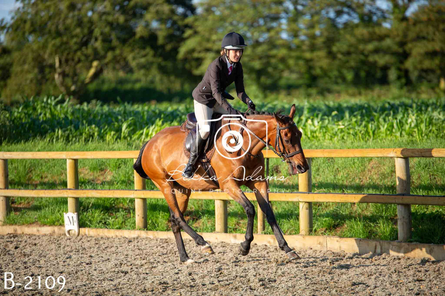 Home Farm Showing 20th June