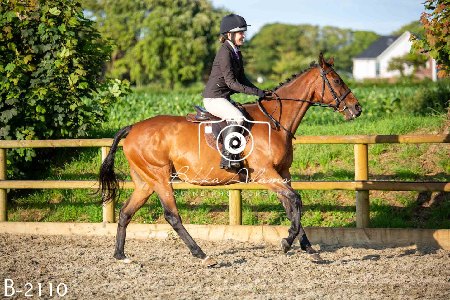Home Farm Showing 20th June