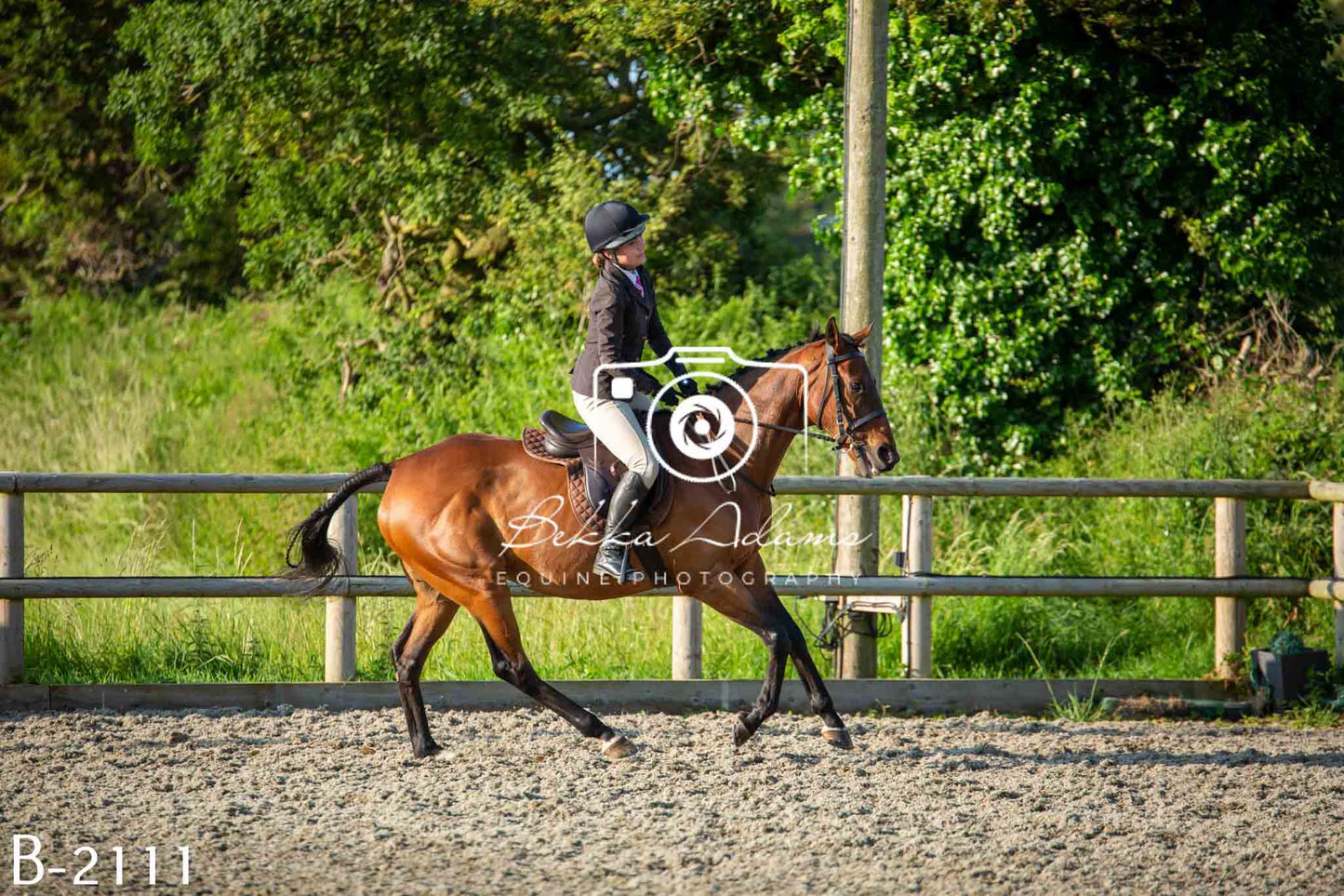 Home Farm Showing 20th June