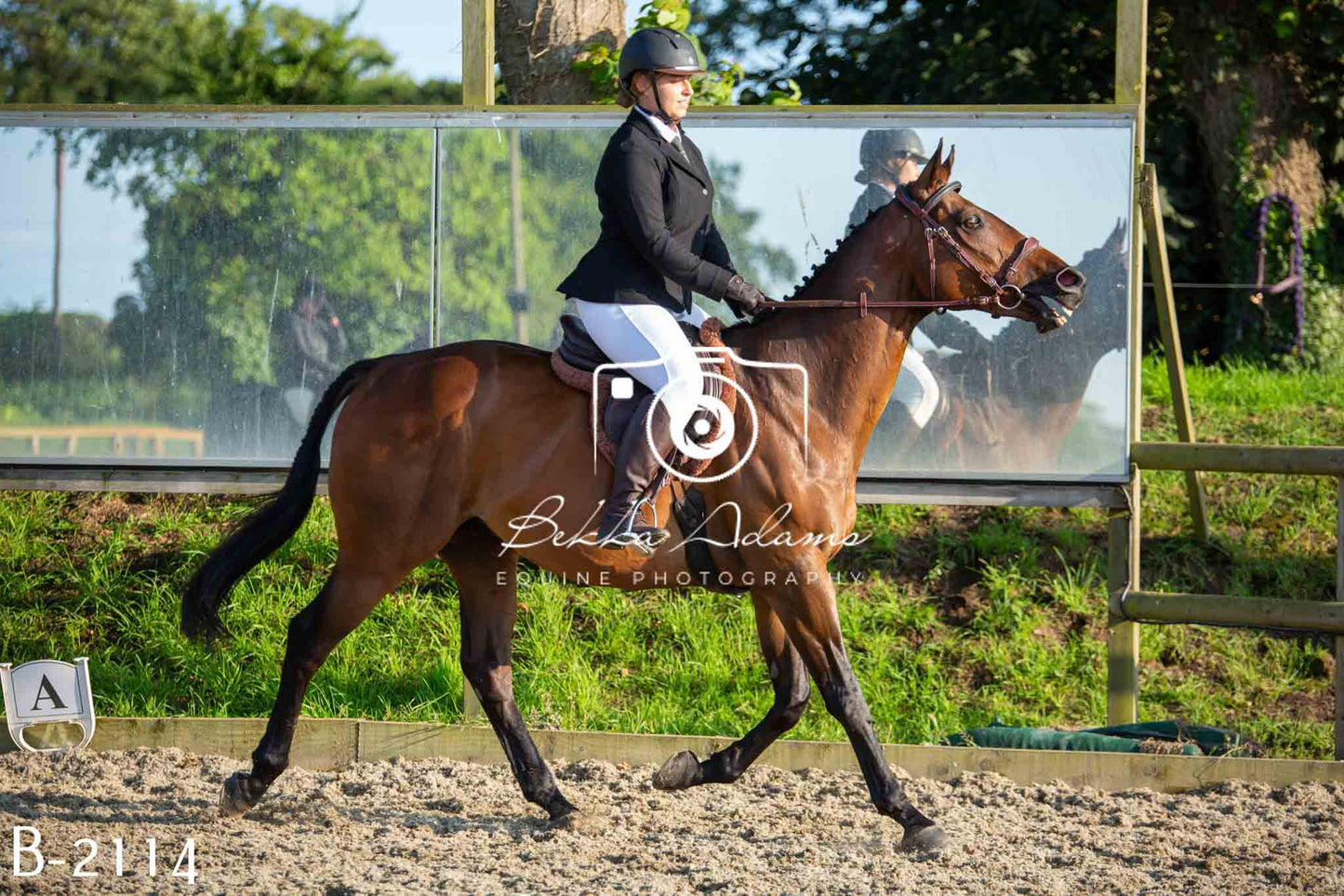 Home Farm Showing 20th June