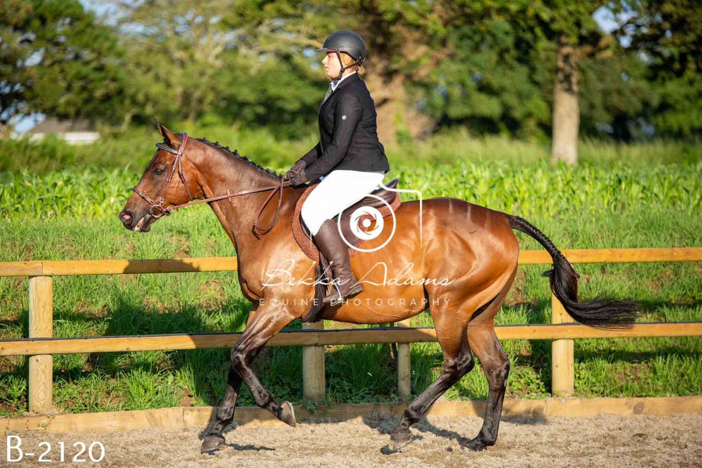 Home Farm Showing 20th June