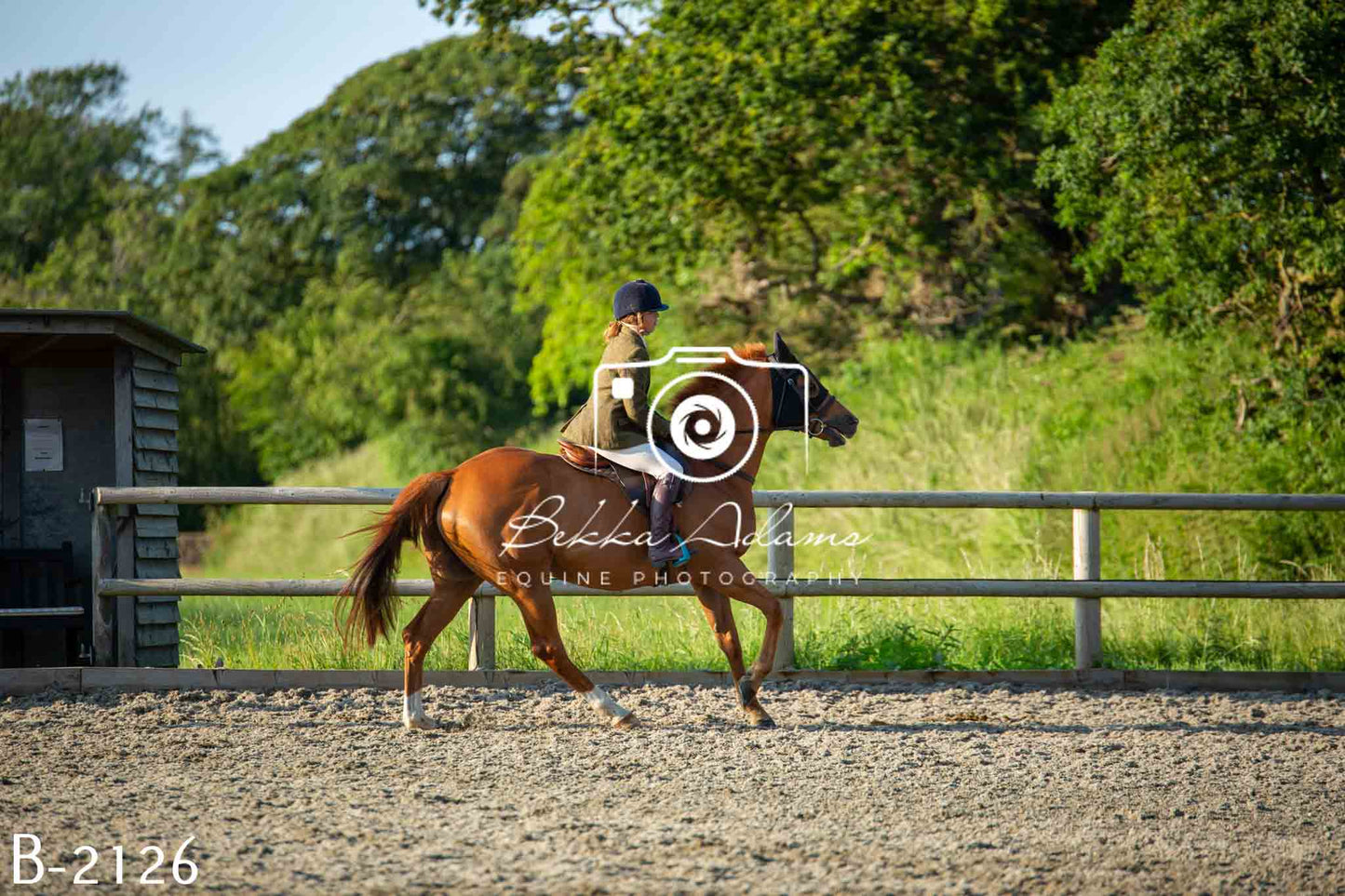 Home Farm Showing 20th June