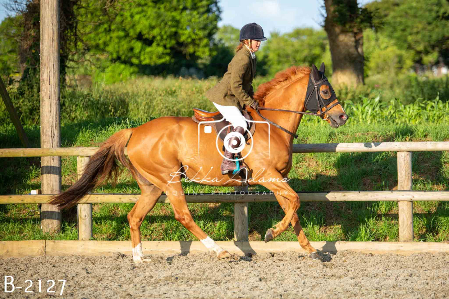 Home Farm Showing 20th June