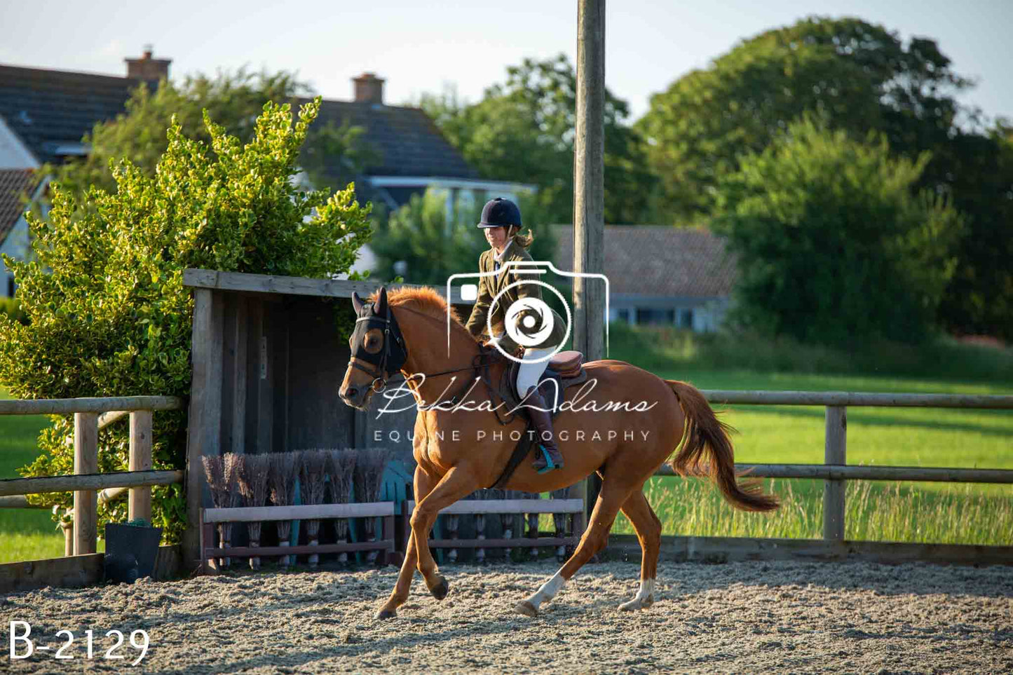 Home Farm Showing 20th June