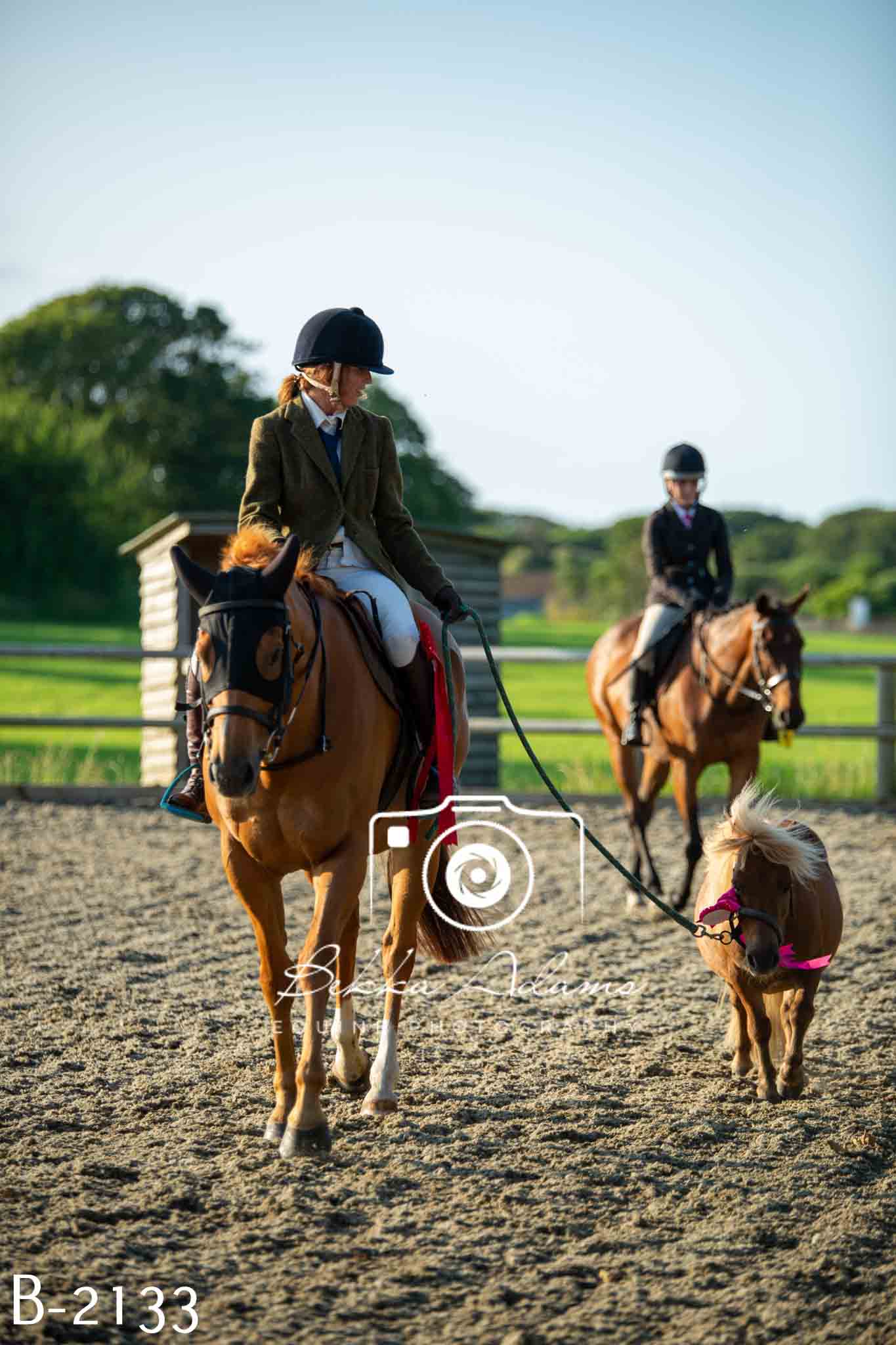 Home Farm Showing 20th June