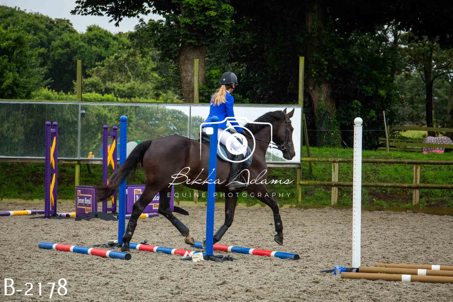 Home Farm Jumping 23rd July