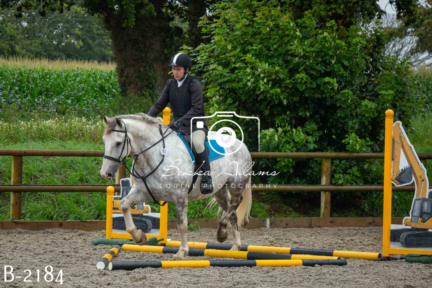 Home Farm Jumping 23rd July