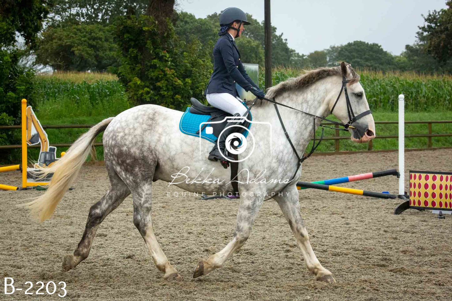 Home Farm Jumping 23rd July