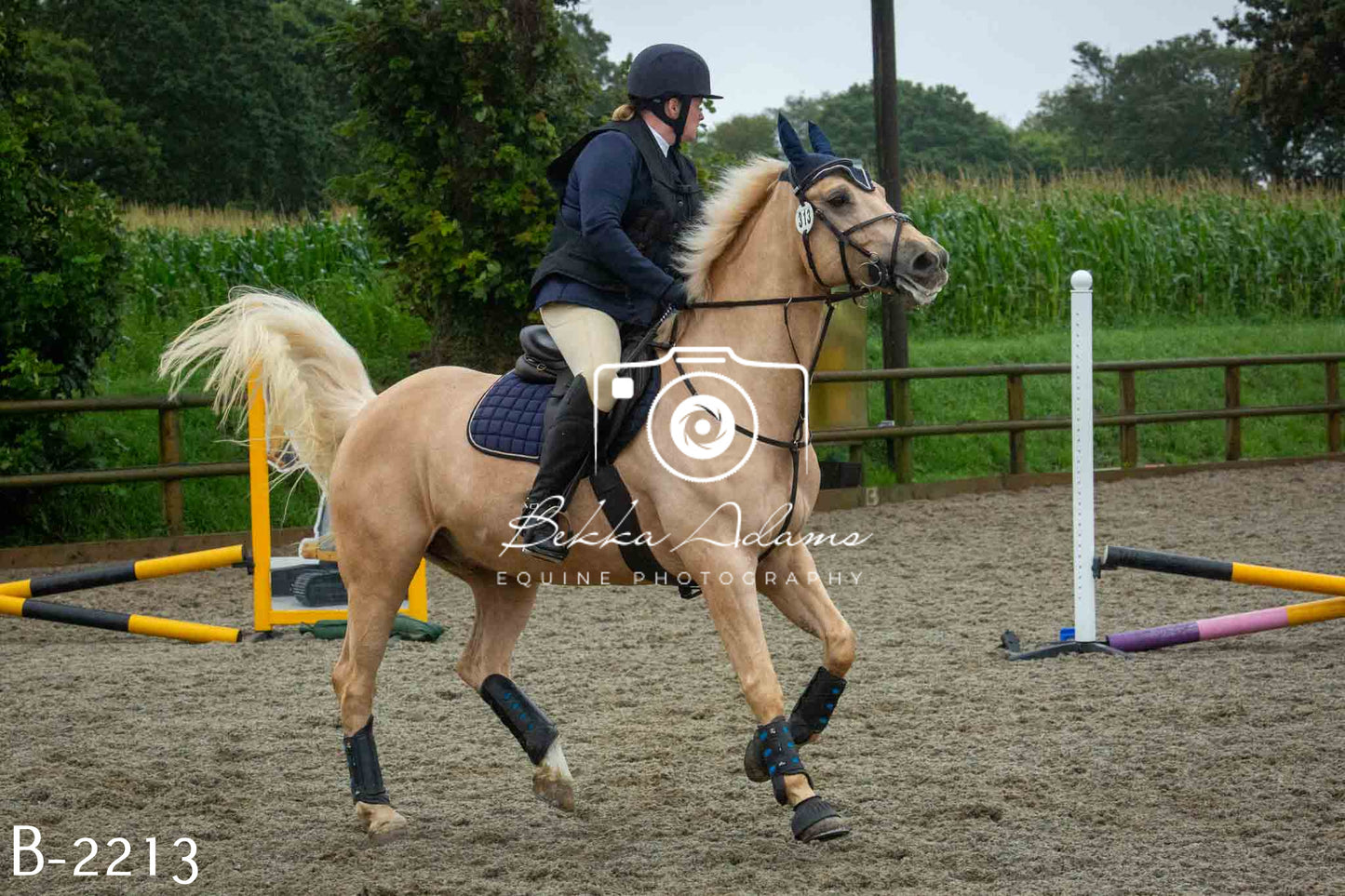 Home Farm Jumping 23rd July