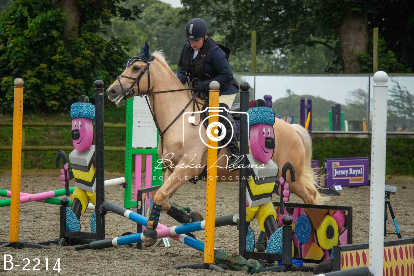 Home Farm Jumping 23rd July