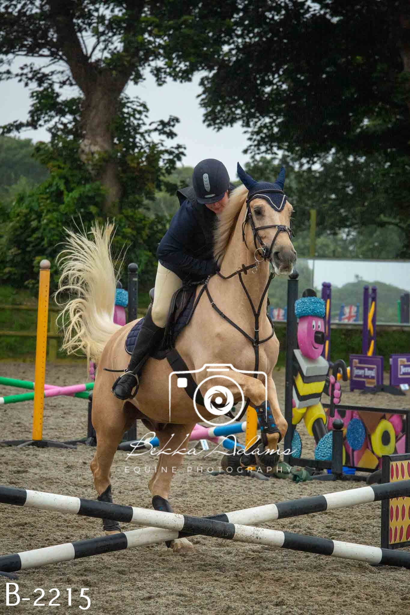 Home Farm Jumping 23rd July