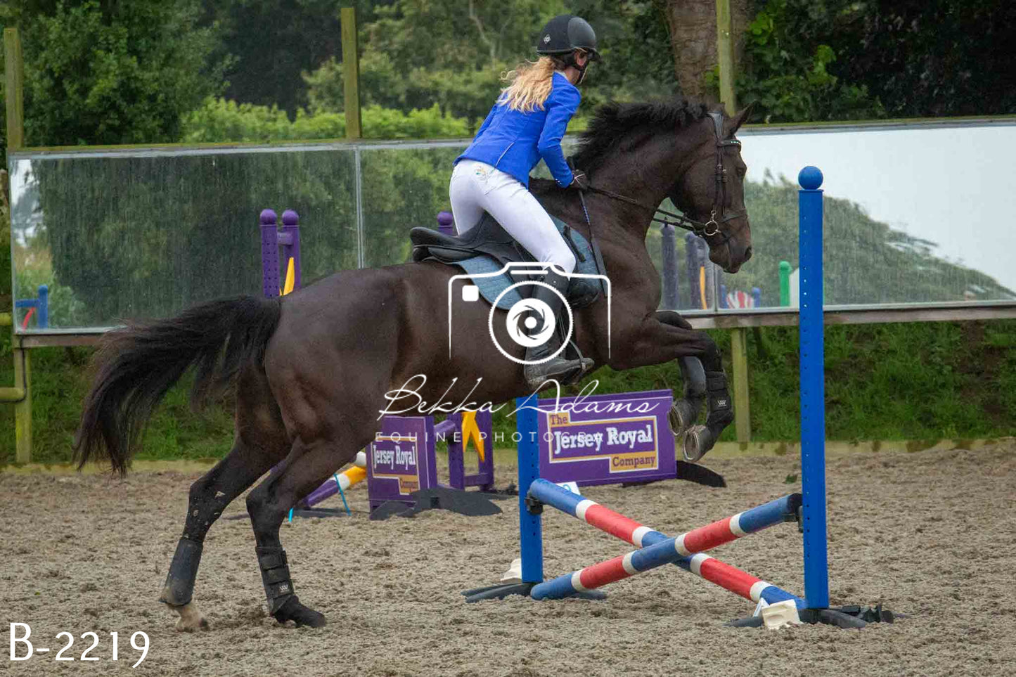 Home Farm Jumping 23rd July