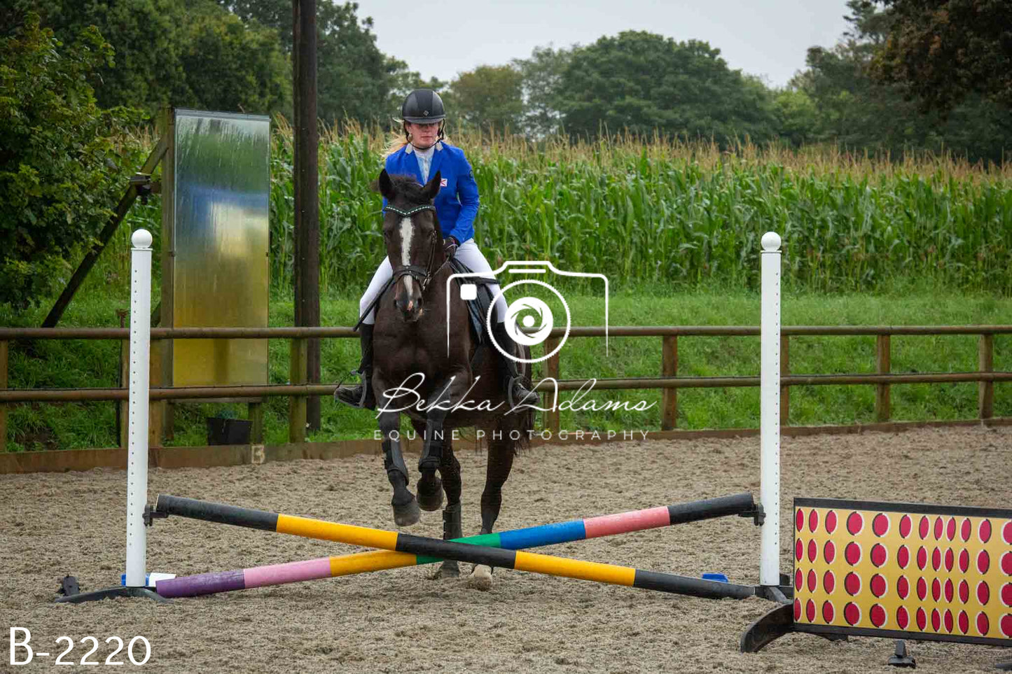 Home Farm Jumping 23rd July