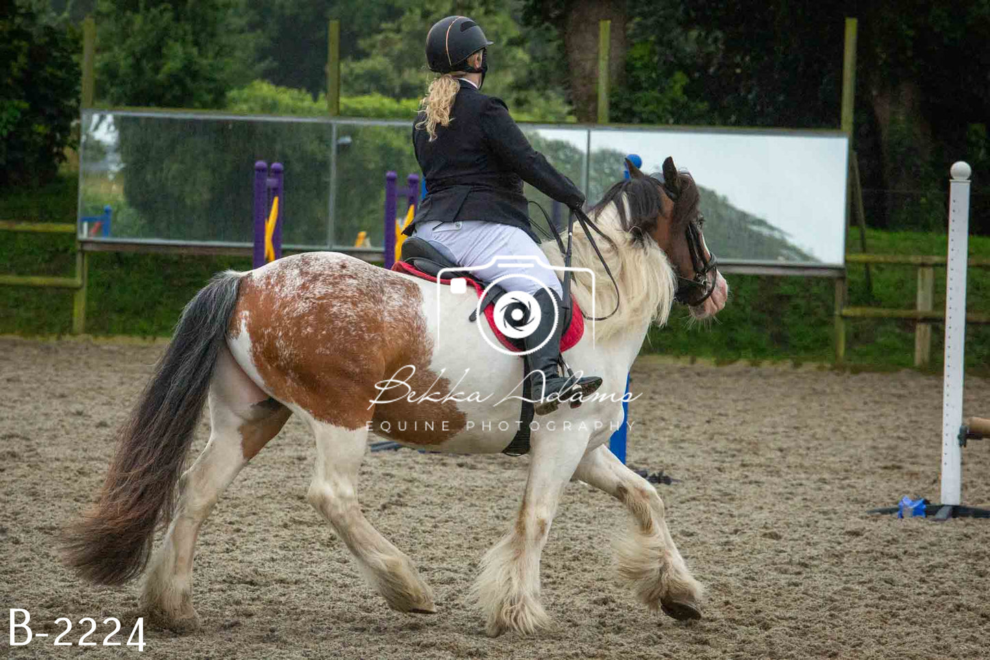Home Farm Jumping 23rd July