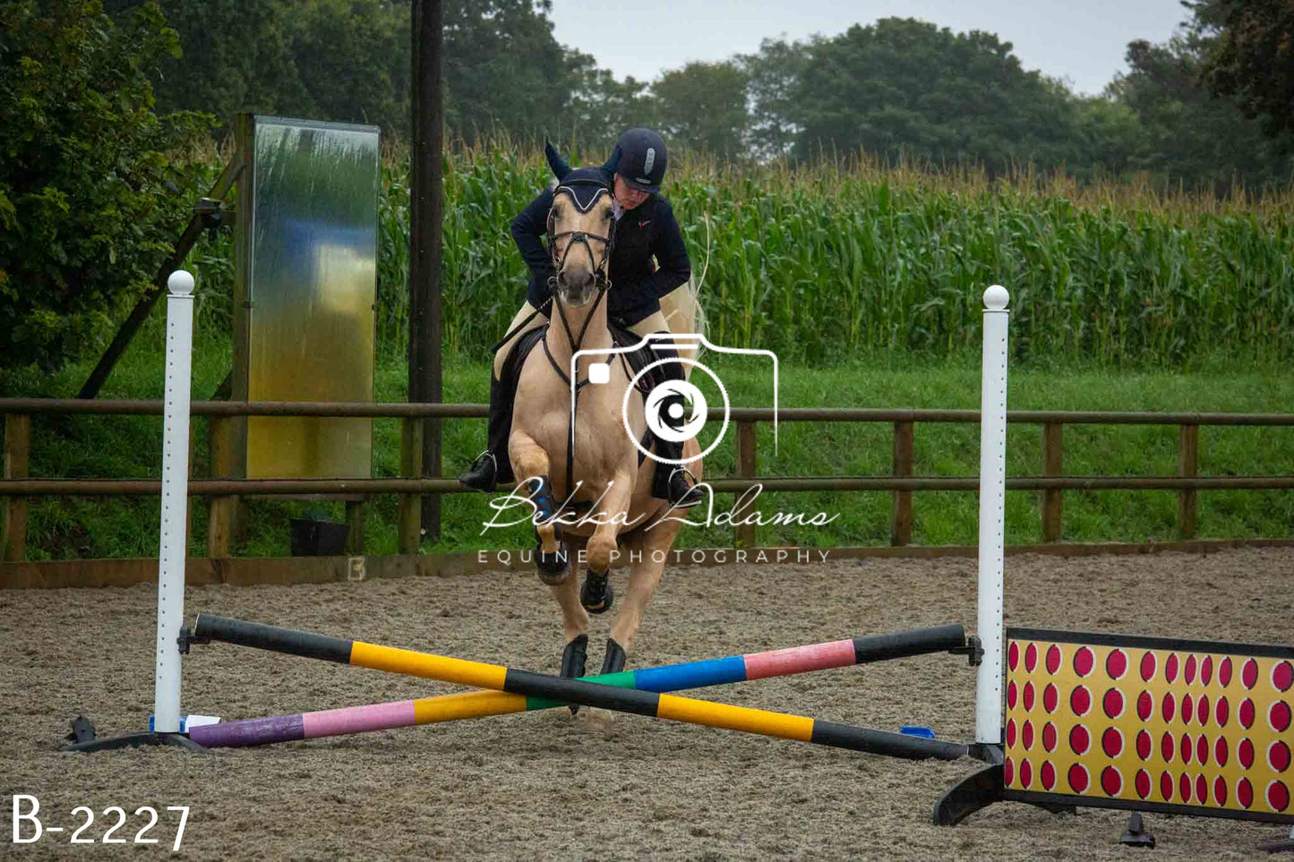 Home Farm Jumping 23rd July