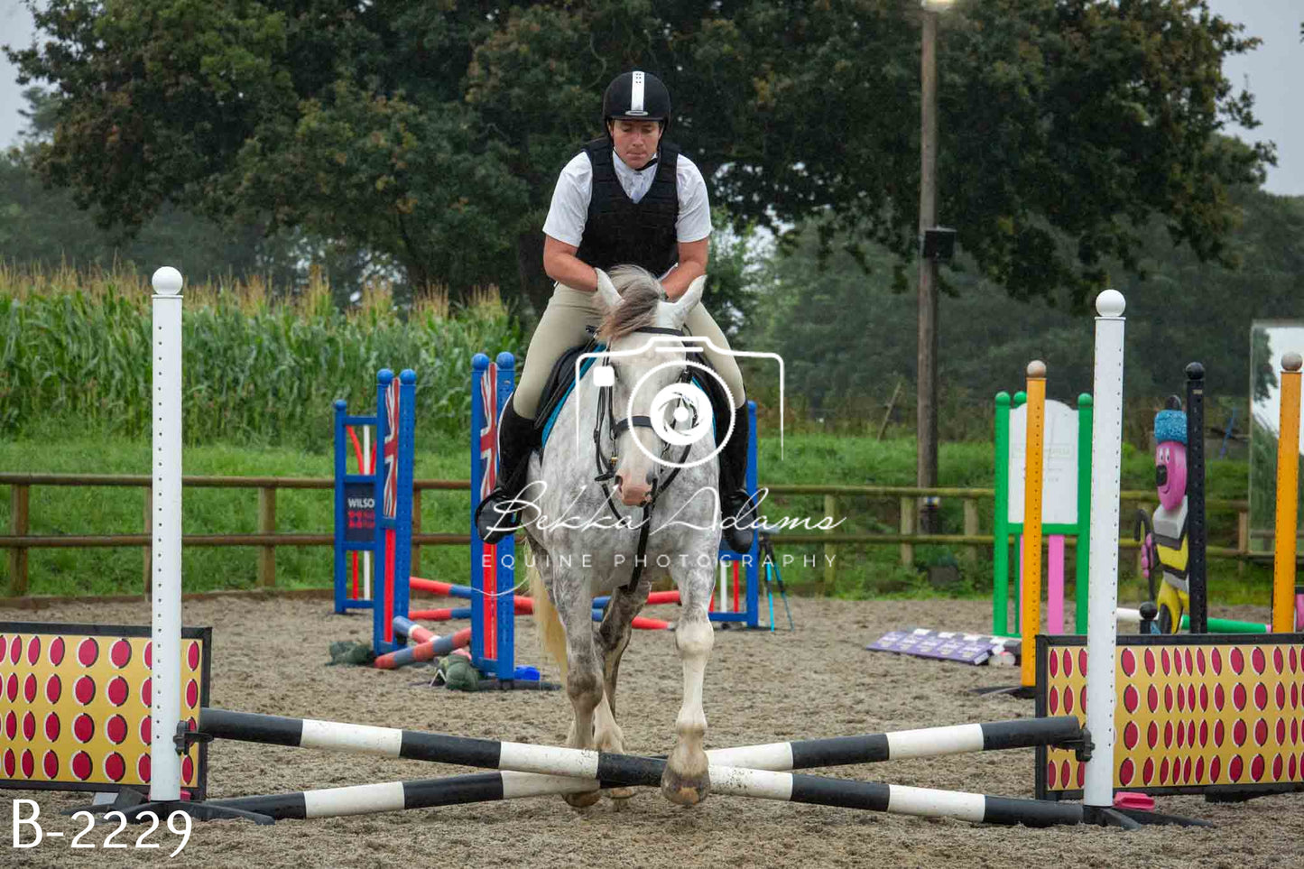 Home Farm Jumping 23rd July