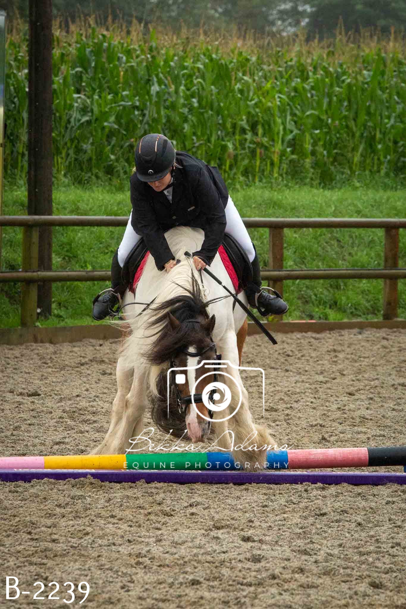 Home Farm Jumping 23rd July