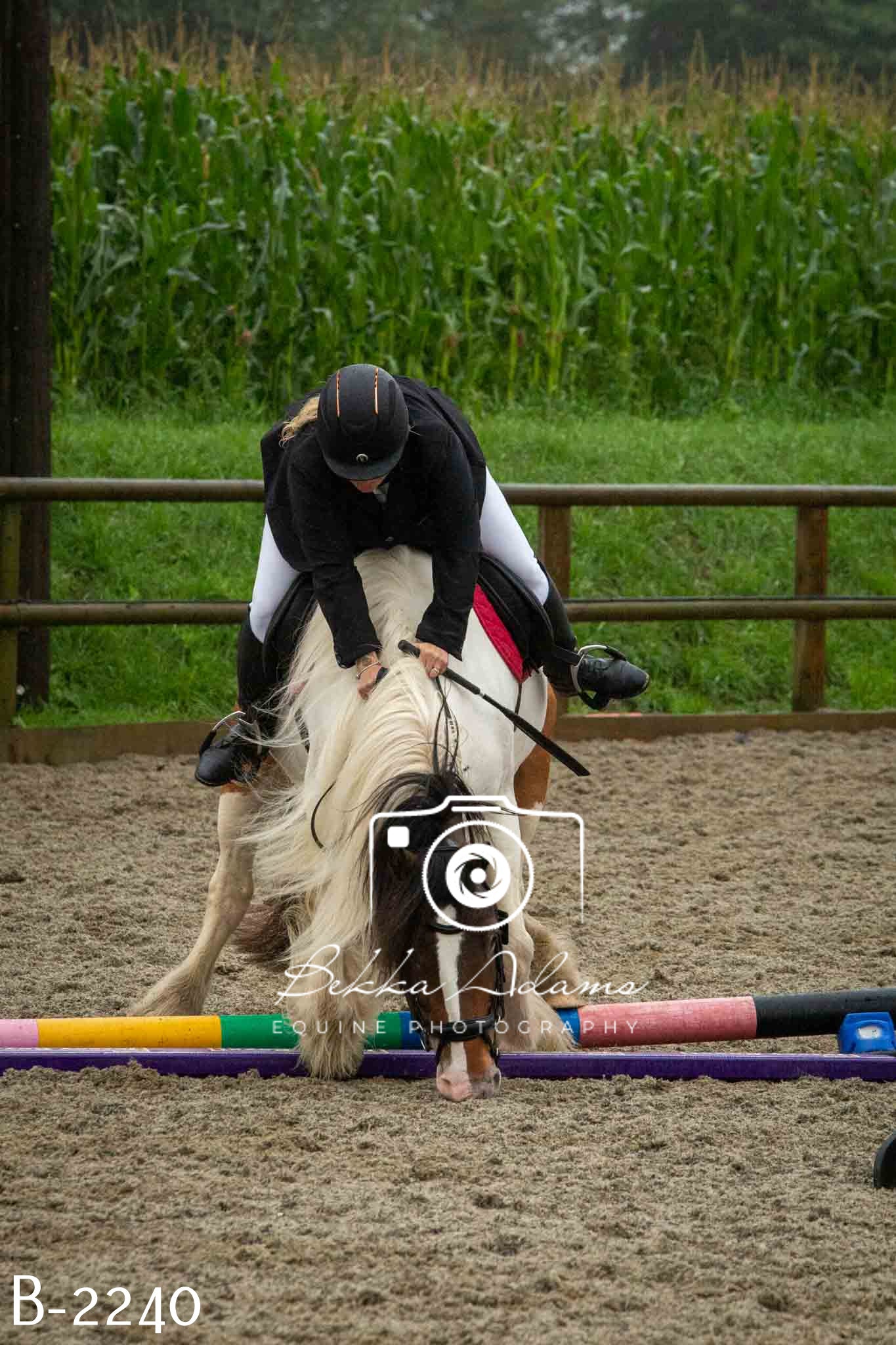 Home Farm Jumping 23rd July