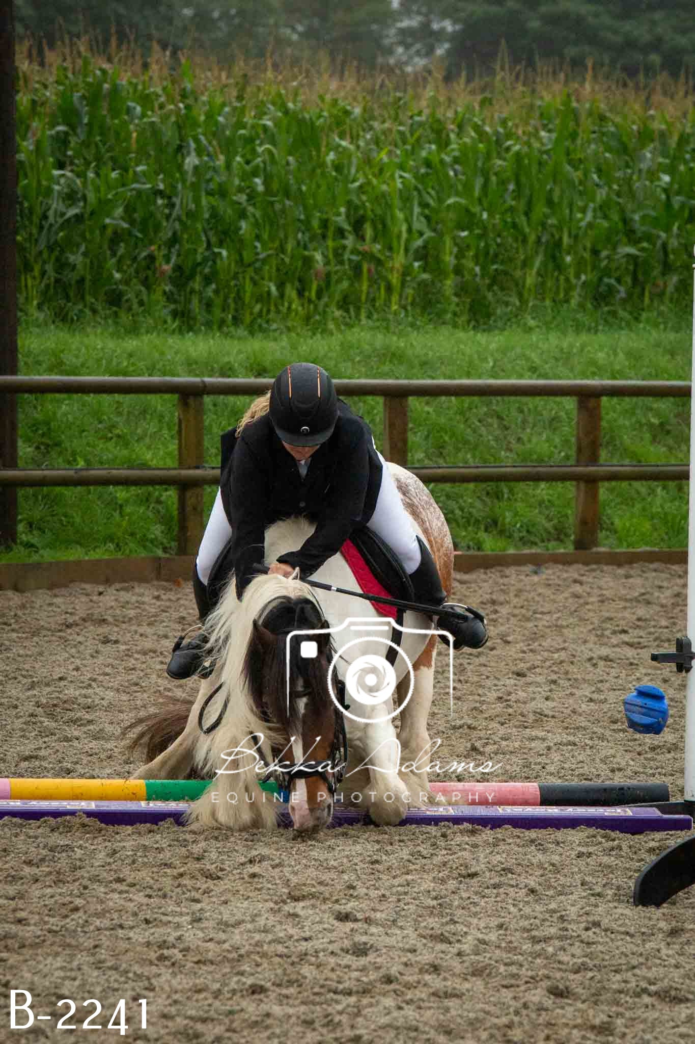 Home Farm Jumping 23rd July
