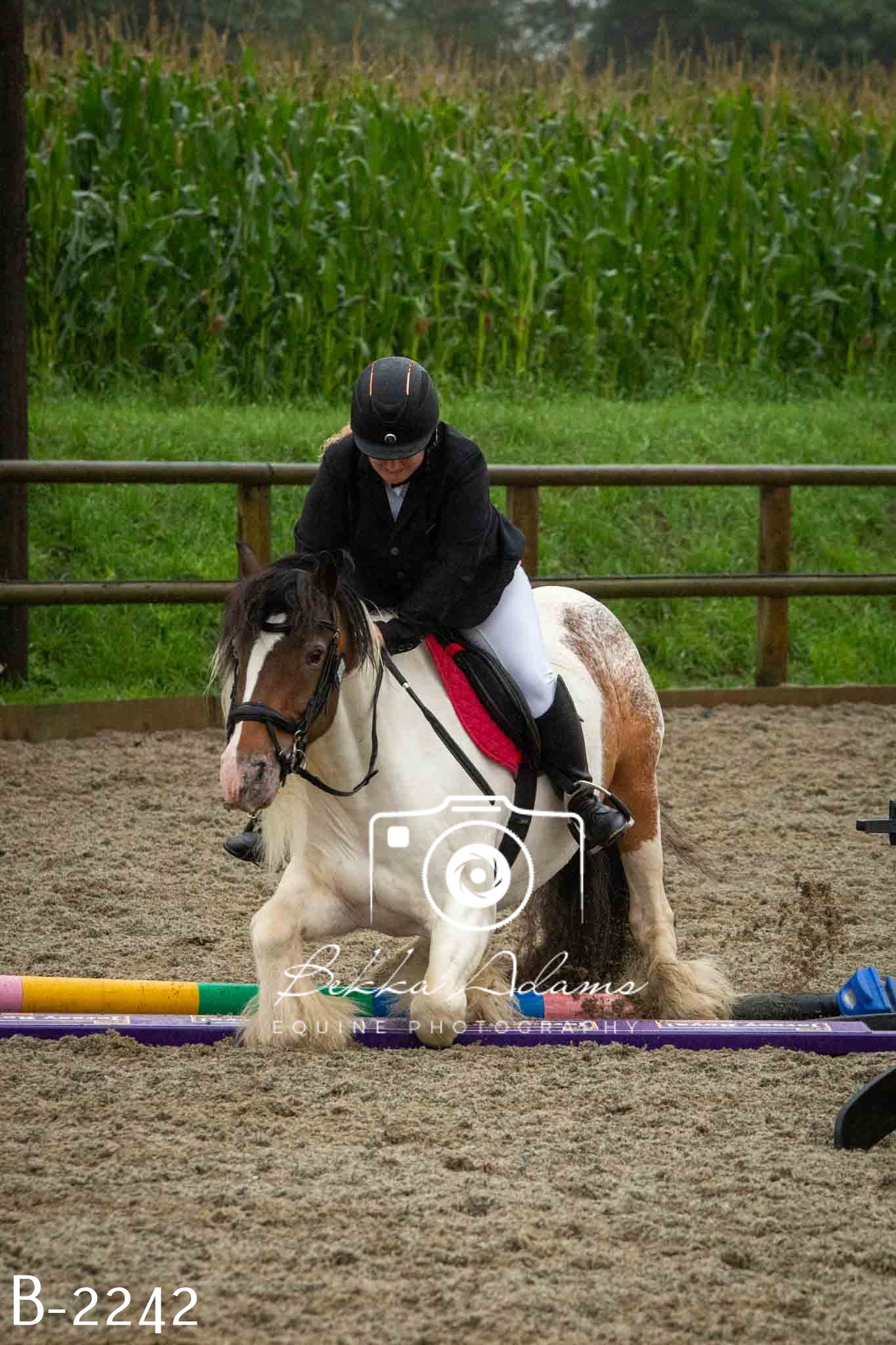 Home Farm Jumping 23rd July
