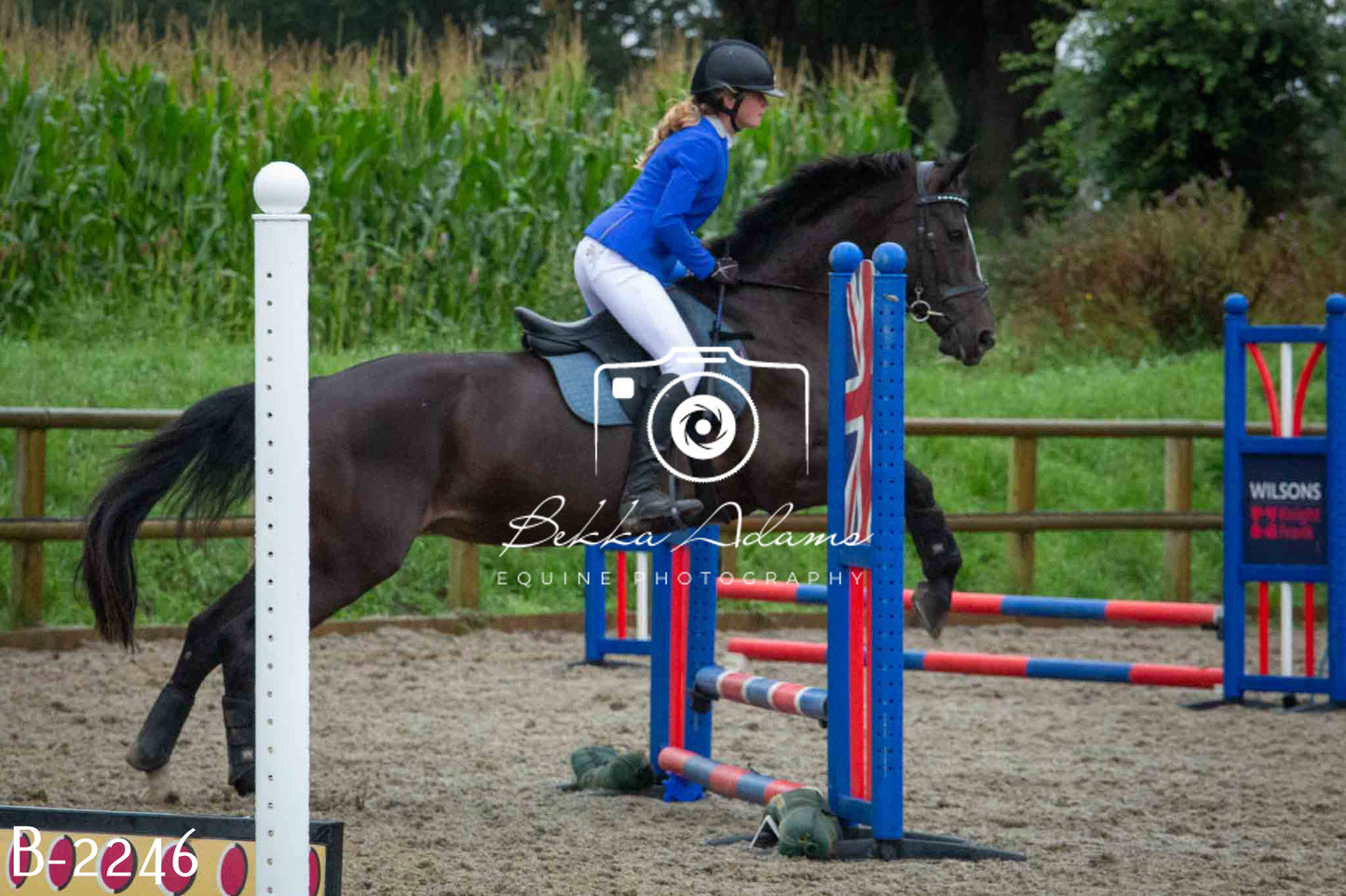Home Farm Jumping 23rd July