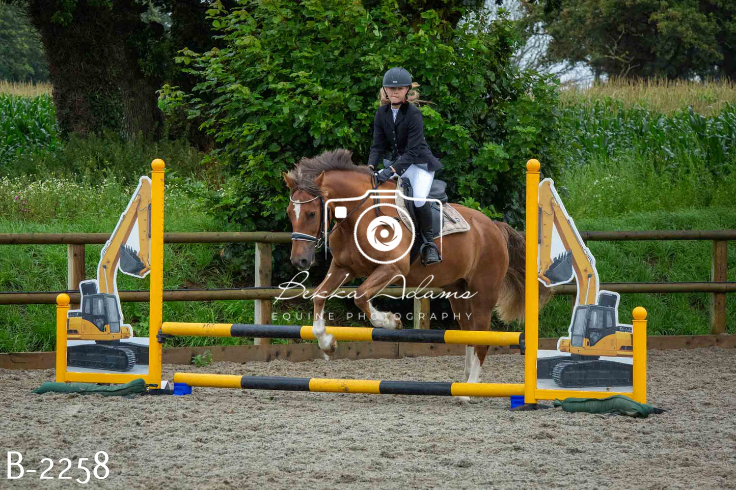 Home Farm Jumping 23rd July