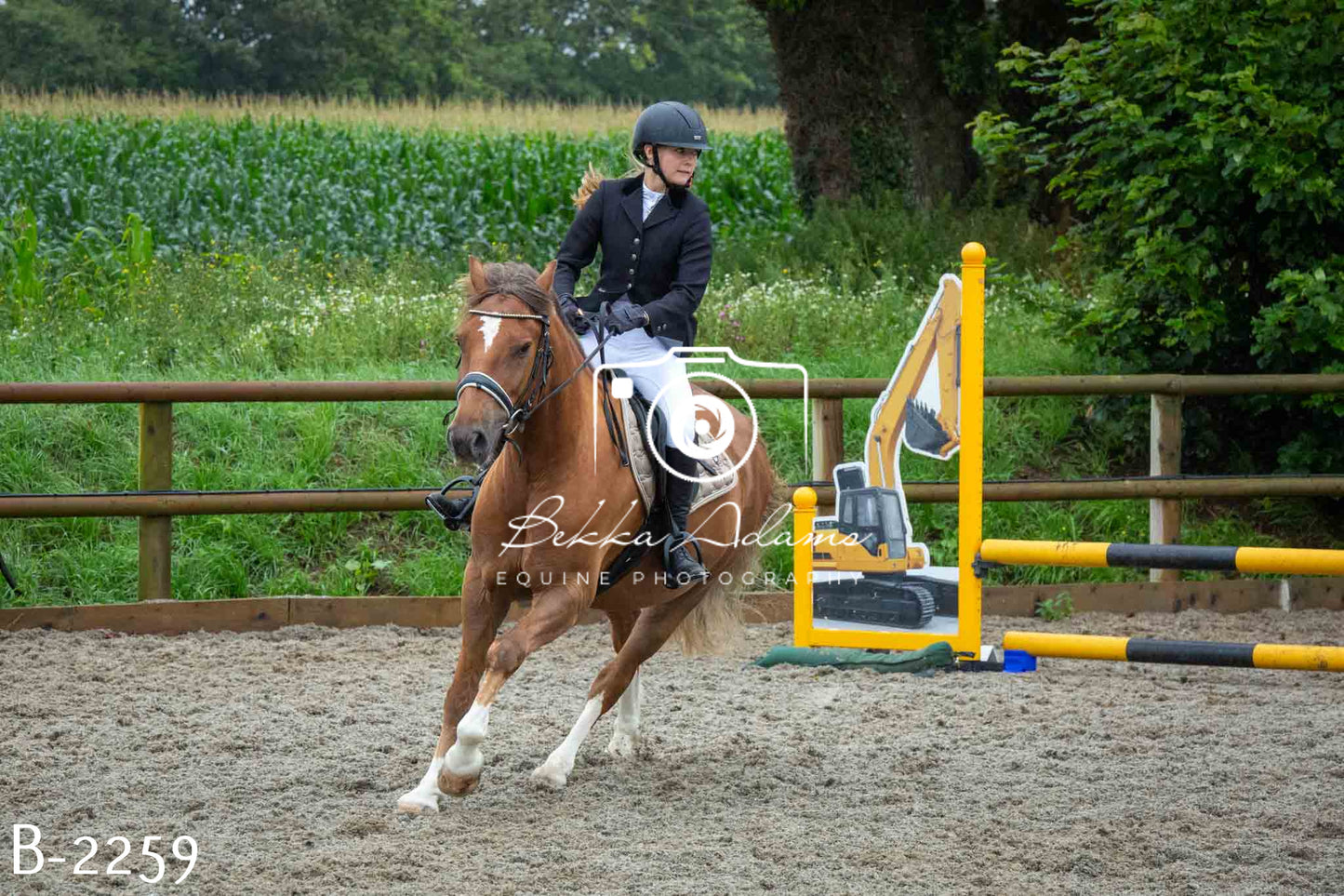 Home Farm Jumping 23rd July