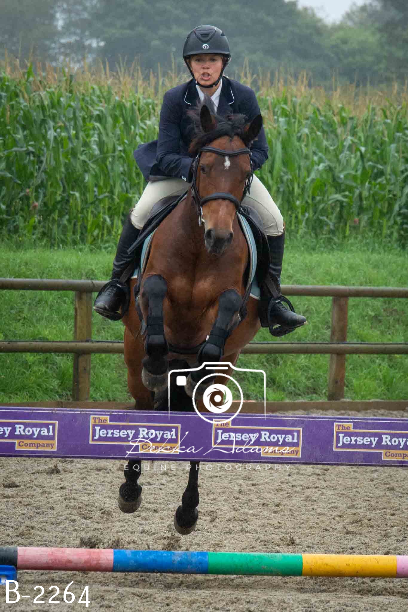 Home Farm Jumping 23rd July
